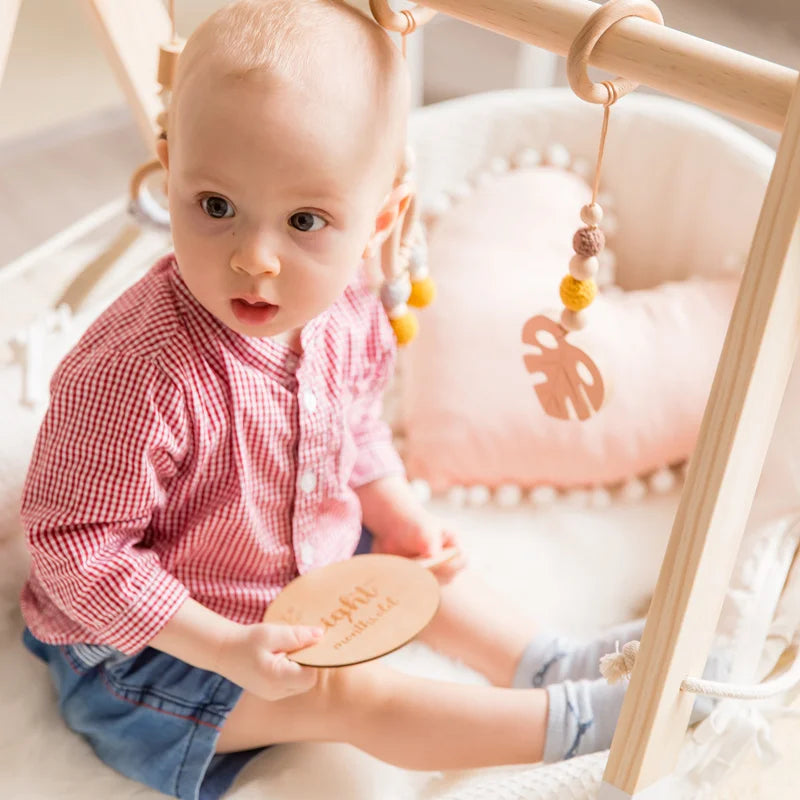 Baby Toys Wooden Play